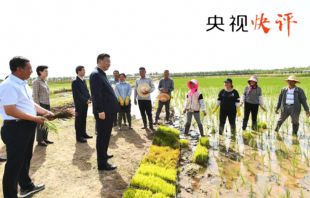 龚家沟村民委员会交通新闻更新，迈向现代化交通的坚定步伐