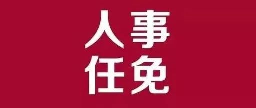 东港市审计局人事任命揭晓，塑造未来审计新篇章