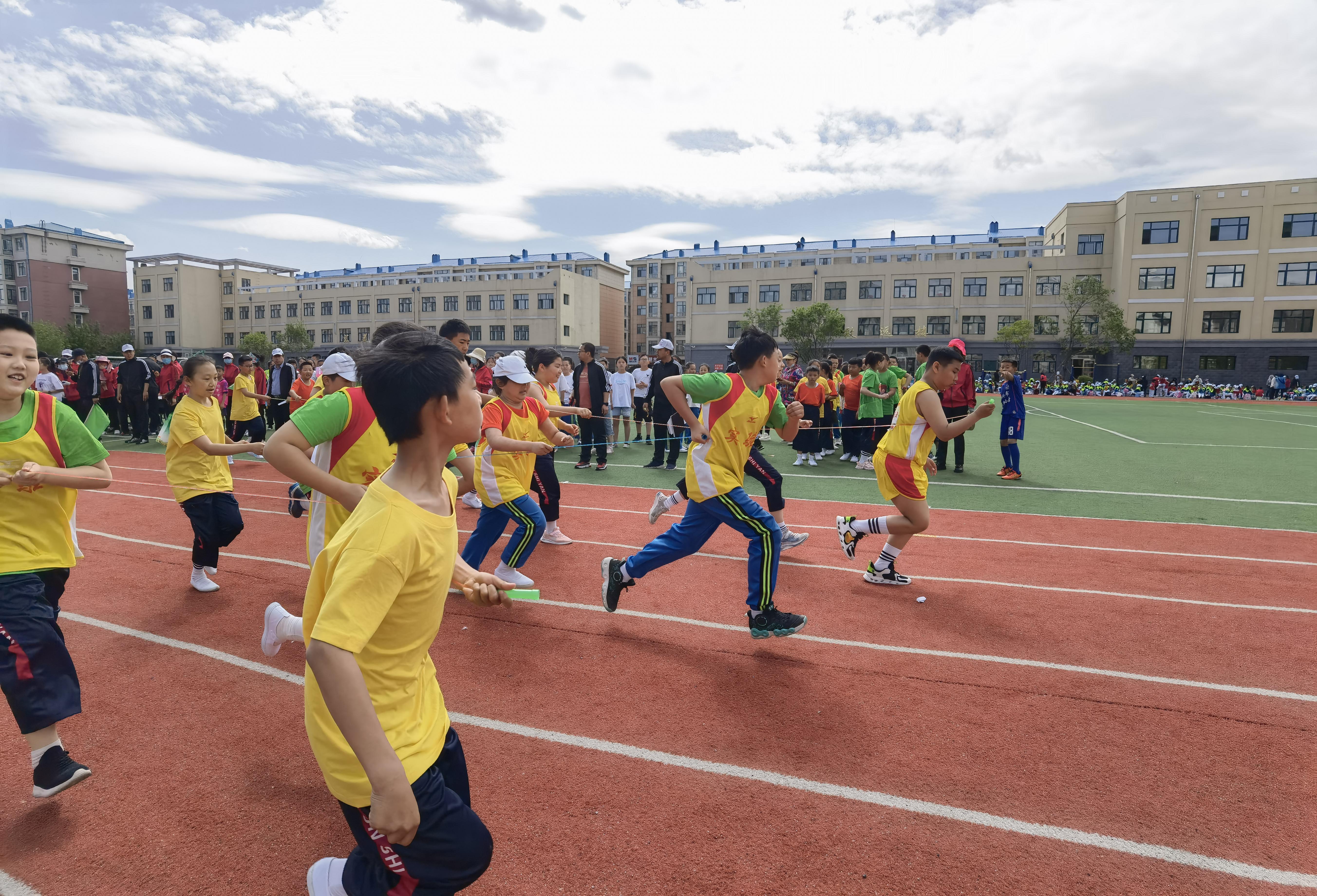 海伦市小学最新招聘公告概览