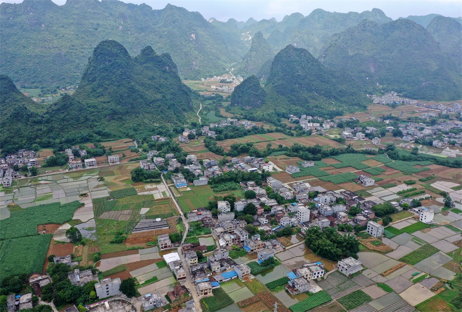 都安瑶族自治县数据和政务服务局最新发展规划研究概览