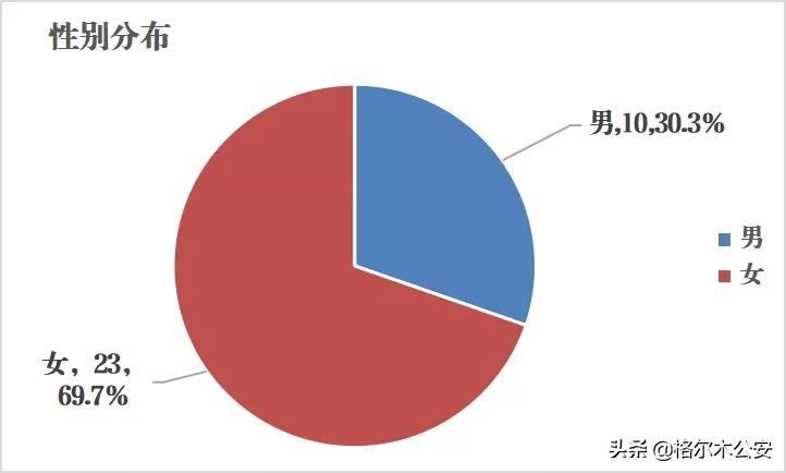 格尔木市初中未来发展规划展望