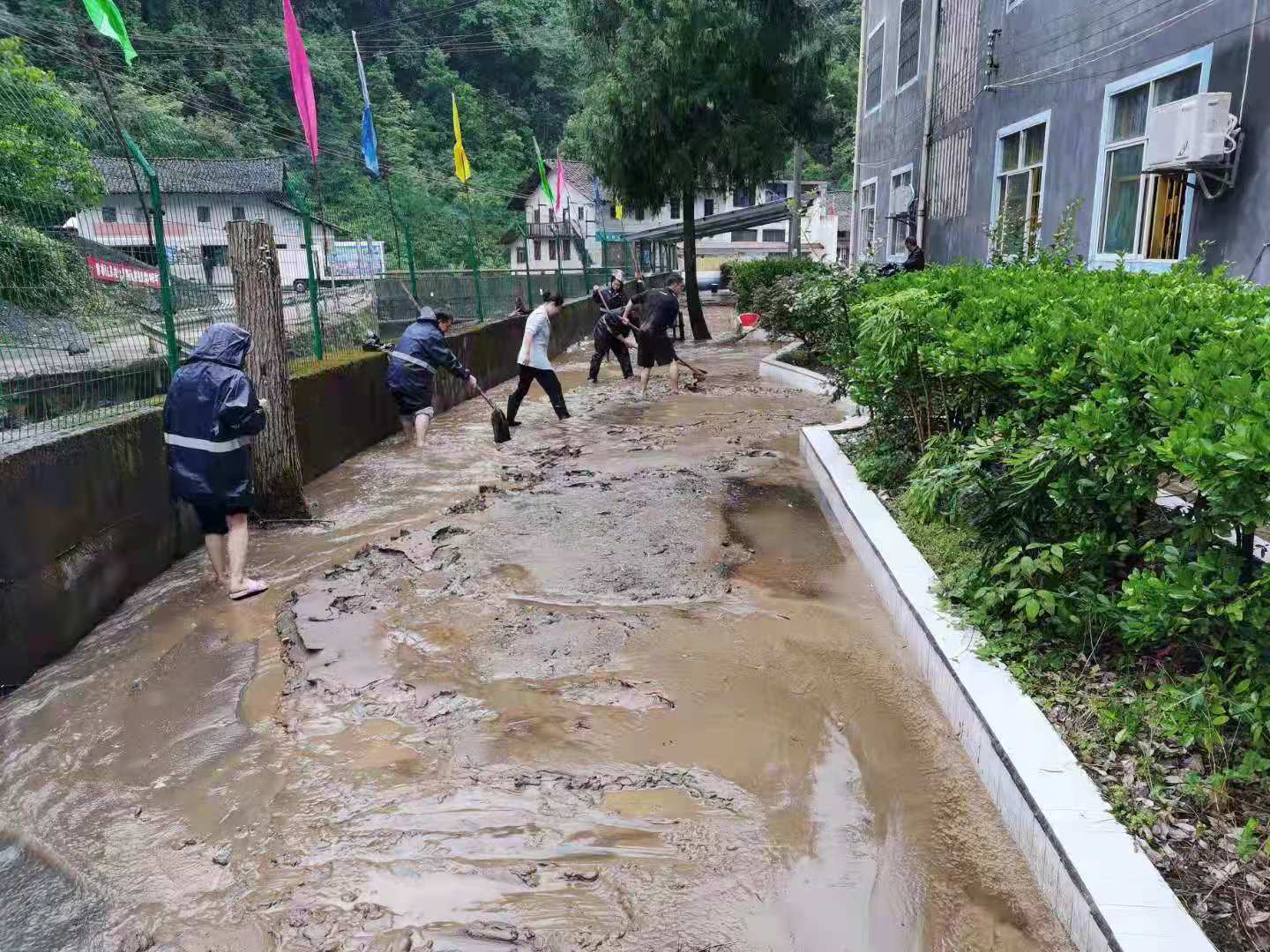 马武镇最新项目，地区发展的强大引擎领航者