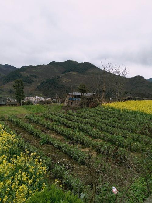 乾西乡最新天气预报详解，气象信息及生活建议全知道