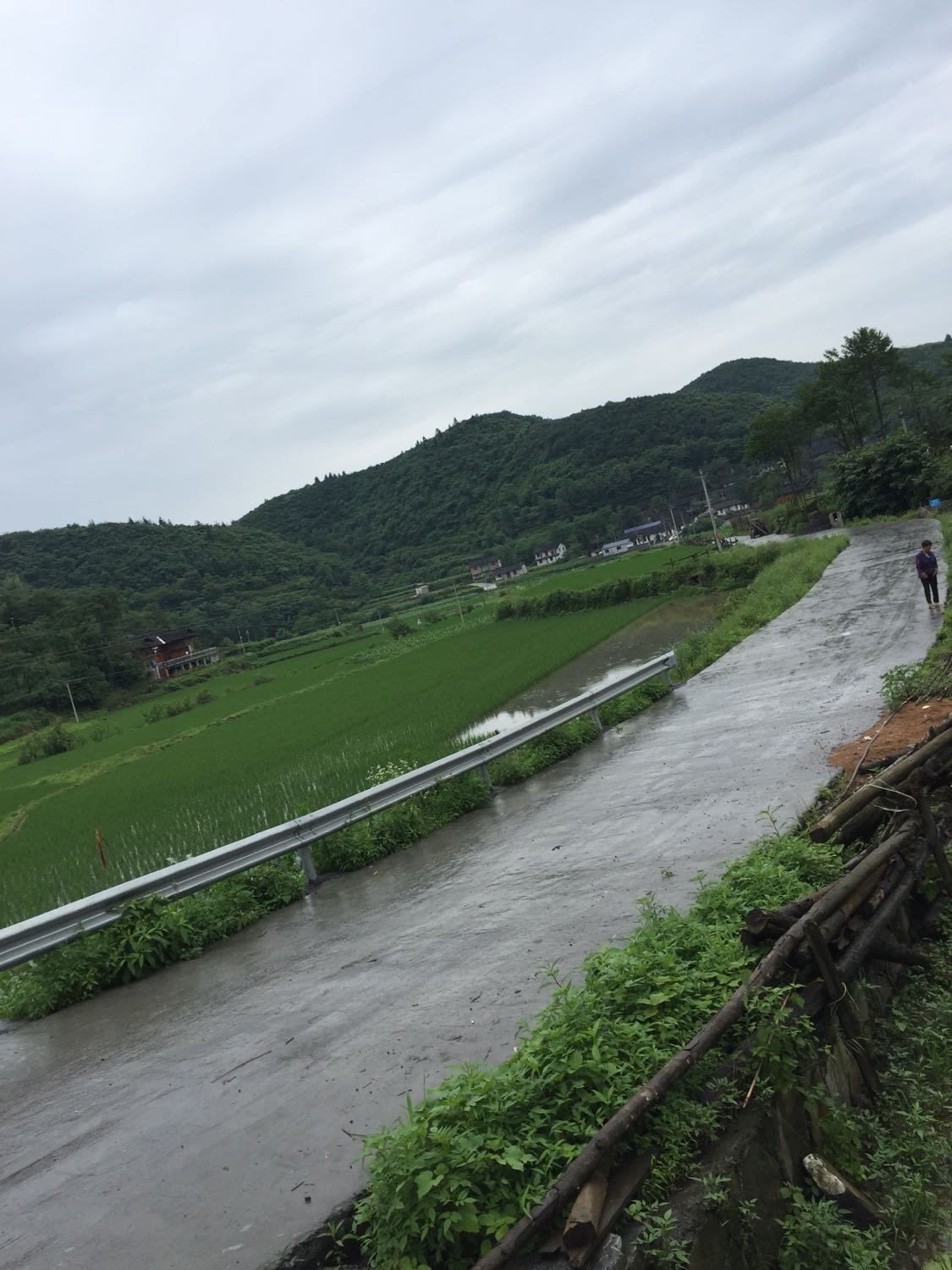 罗林村委会天气预报更新通知