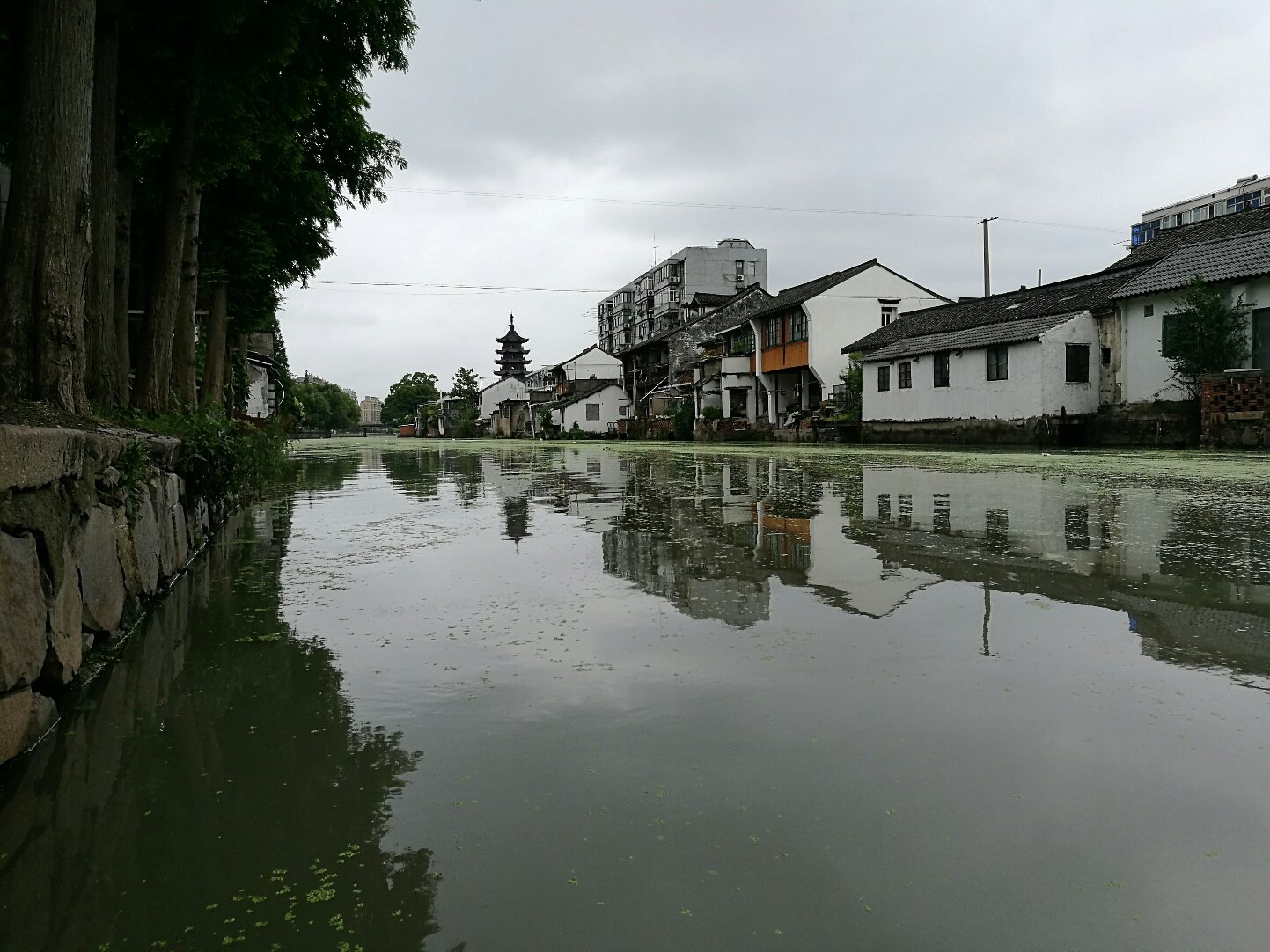 练塘镇最新天气预报