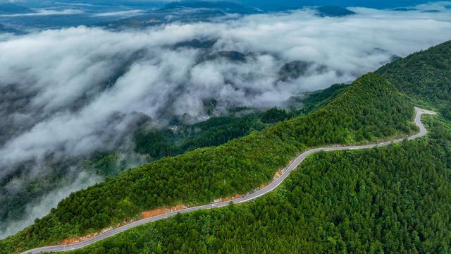 酉阳土家族苗族自治县发展和改革局最新发展规划