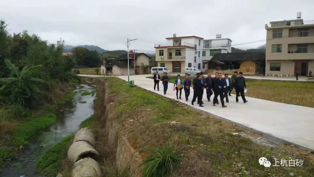 白原村委会发展规划，打造繁荣和谐乡村未来