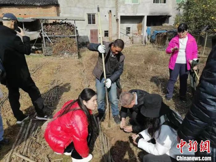 遂宁市城市社会经济调查队最新研究揭示多维城市面貌发展报告